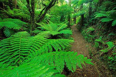 《火焰纹章无双：风花雪月》M站均分81 IGN 8分